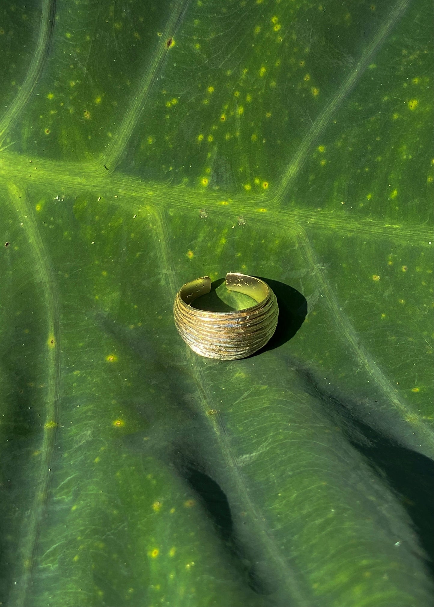 Swell Ring