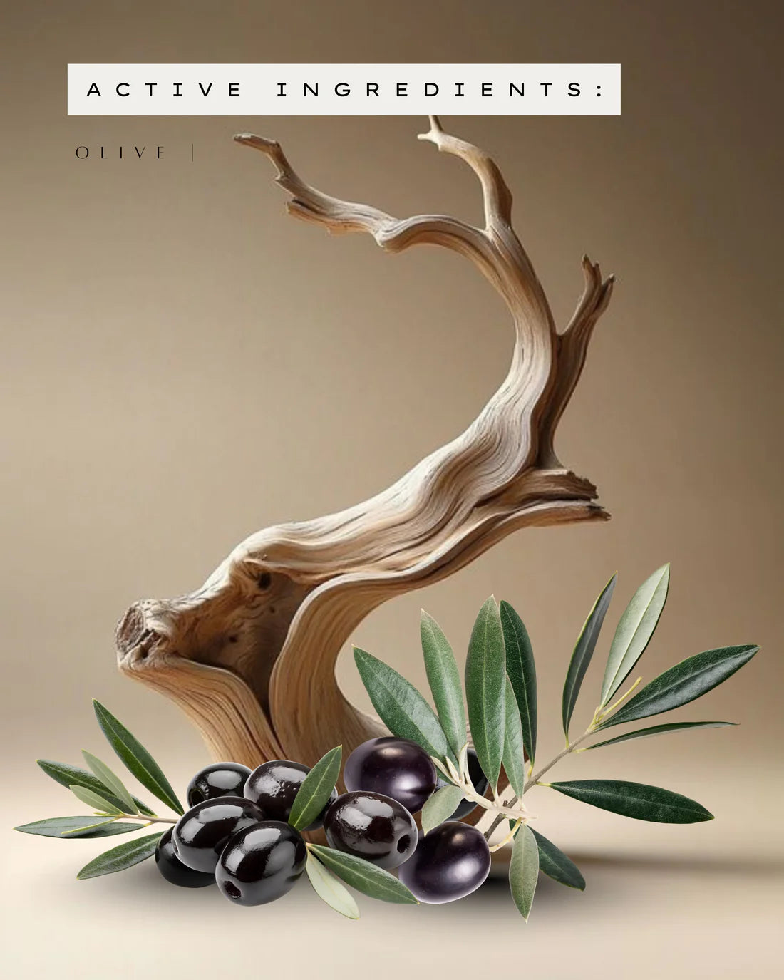 Olive Oil