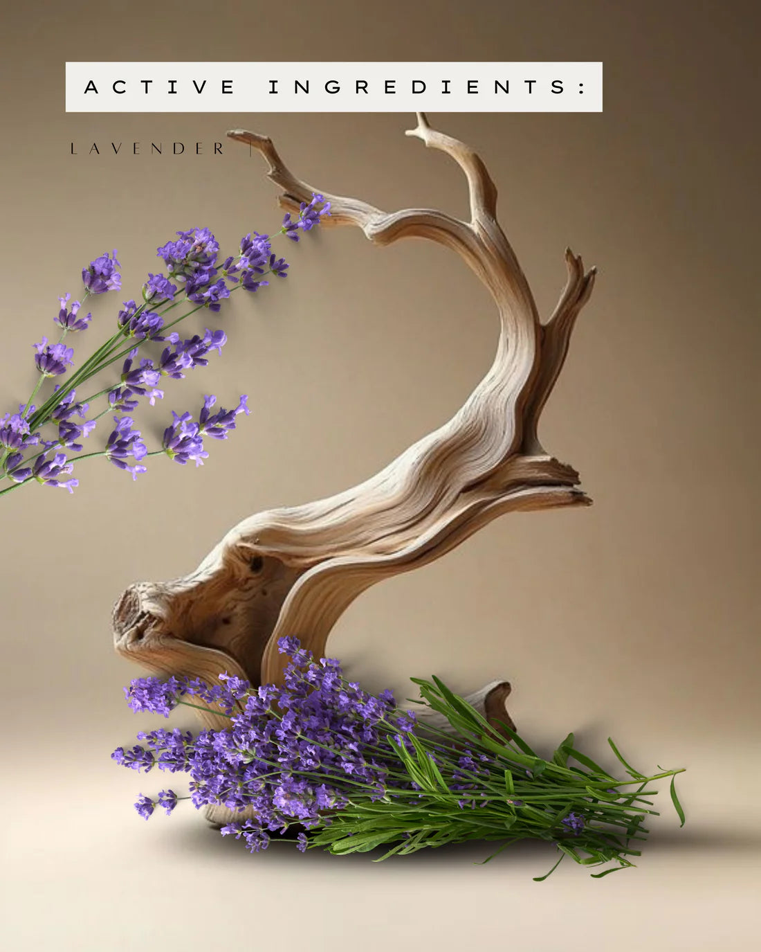 Lavender Oil