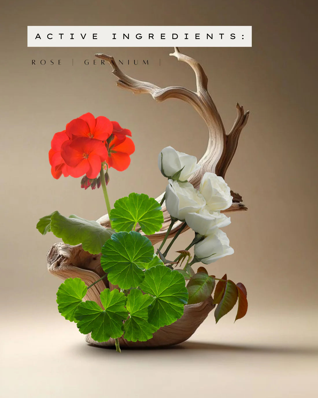 Rose & Geranium Oil