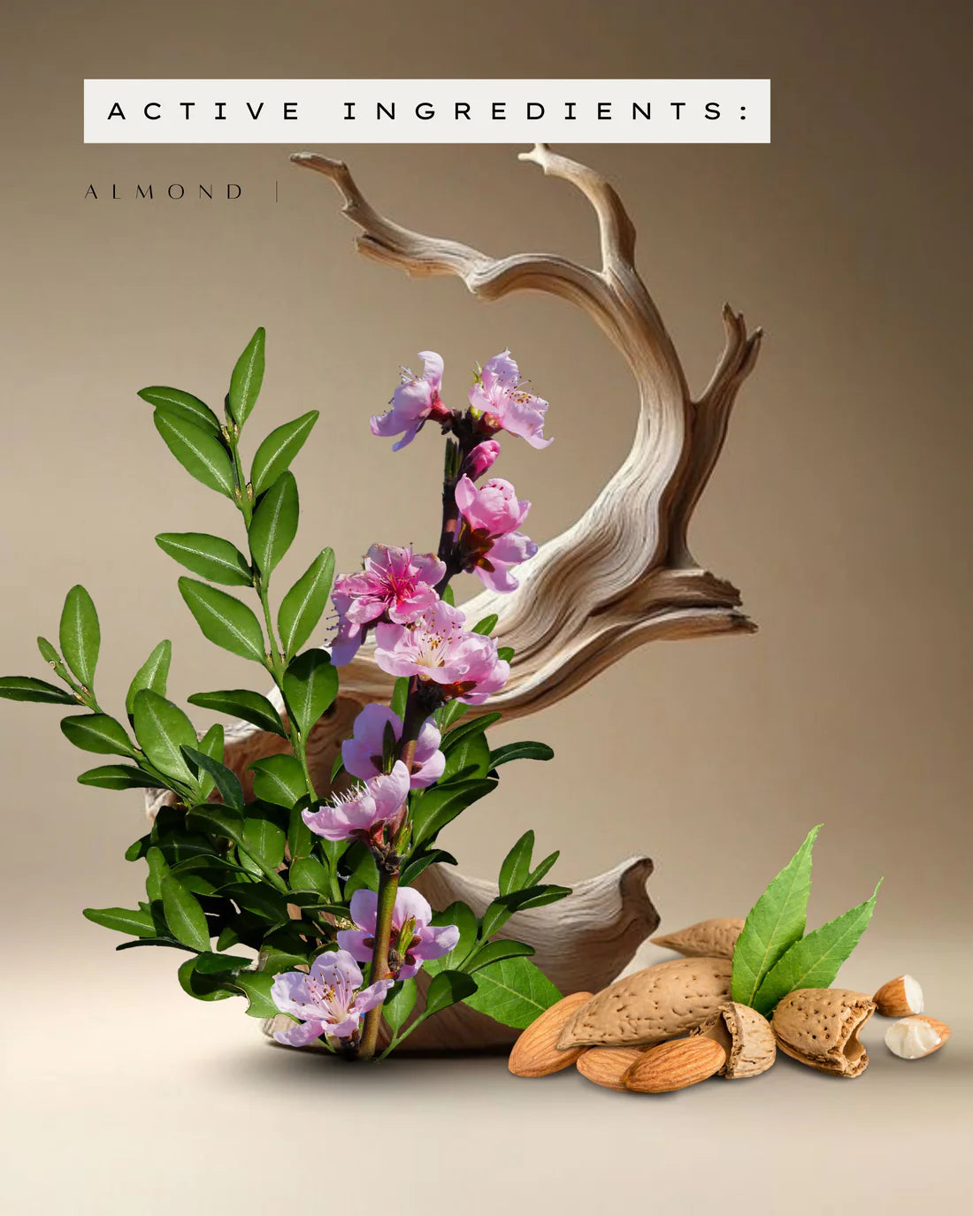 Almond Oil