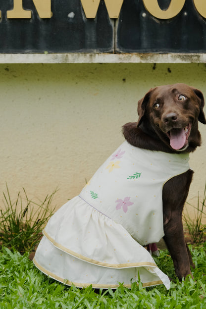 Kochupoovu Pet Dress | Onam Kasavu Layered Pet Wear