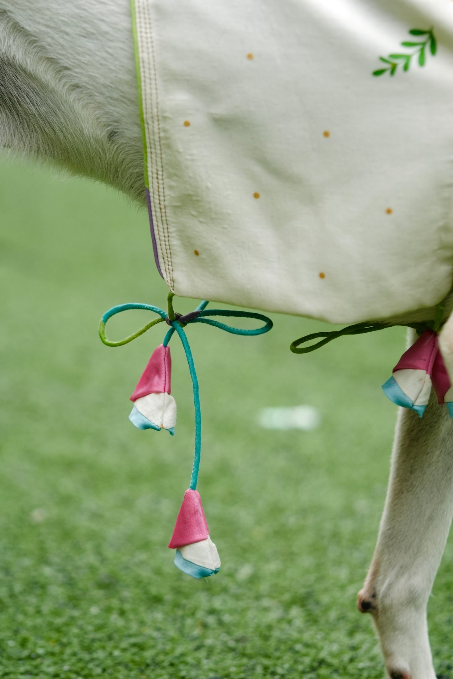 Manjari Pet Dress | Onam Screen-Print Pet Wear