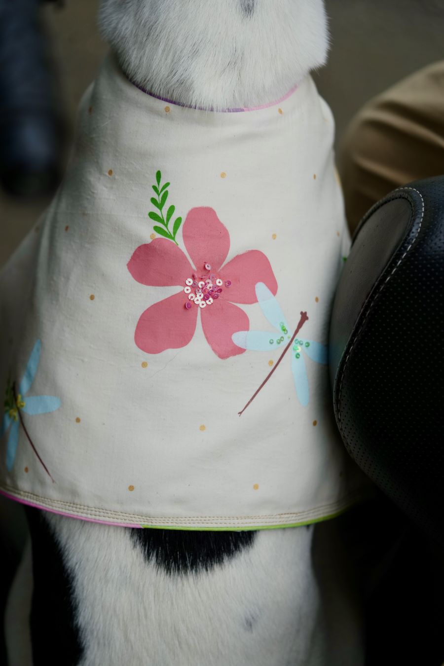Manjari Pet Dress | Onam Screen-Print Pet Wear