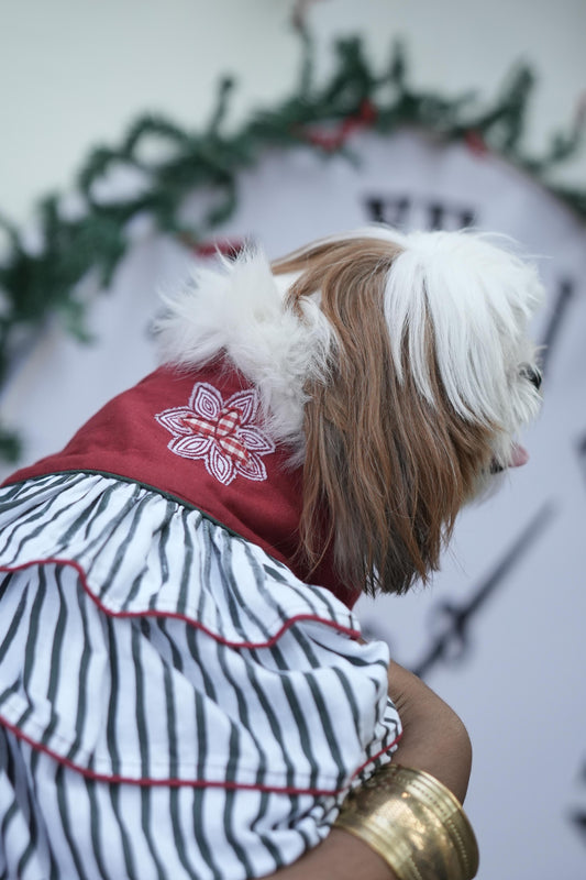 LAYERED FRILLED DRESS