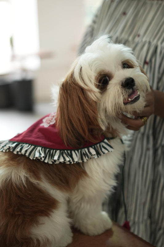 FRILLED CHRISTMAS FLOWER BIB