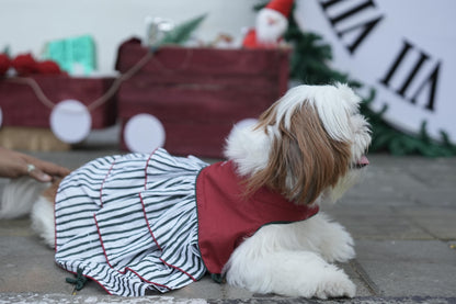 LAYERED FRILLED DRESS