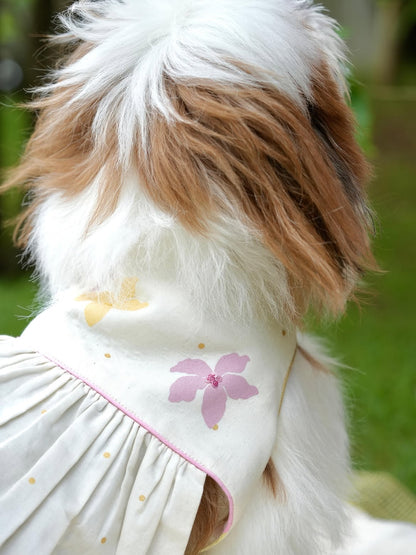 Poomizhi Pet Dress | Manjari Collections