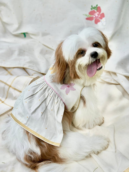 Poomizhi Pet Dress | Manjari Collections