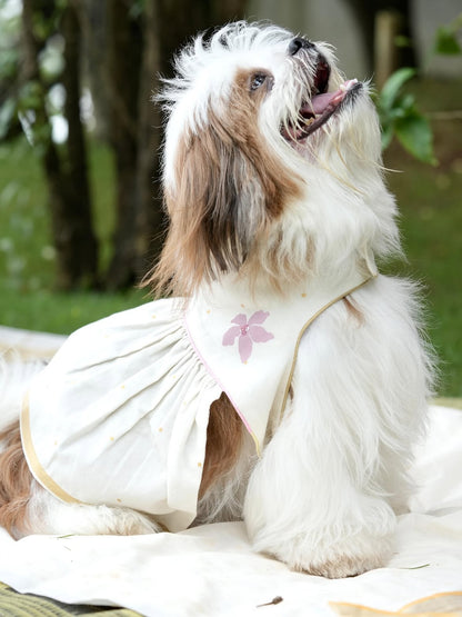 Poomizhi Pet Dress | Manjari Collections
